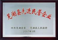 Advanced Private Enterprises in Wuhu Honor